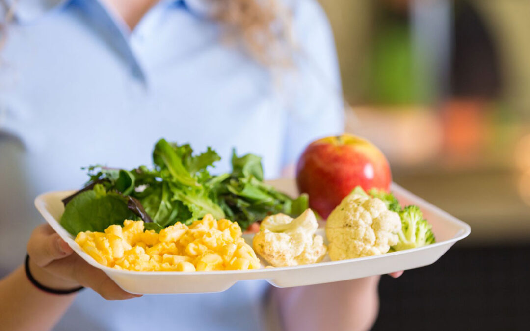 Alimentación saludable: guía práctica para apoderados